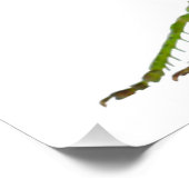 バッタ又は早馬レトロの防虫動物ギフト ポスター (コーナー)