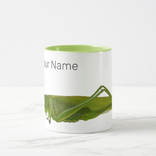 バッタ又は早馬レトロの防虫動物ギフト マグカップ (中央)