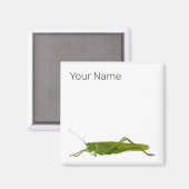 バッタ又は早馬レトロの防虫動物ギフト マグネット (正面/裏面)