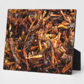 バッタ揚げ(Takkataen Thot)アジア料理 フォトプラーク (側面)