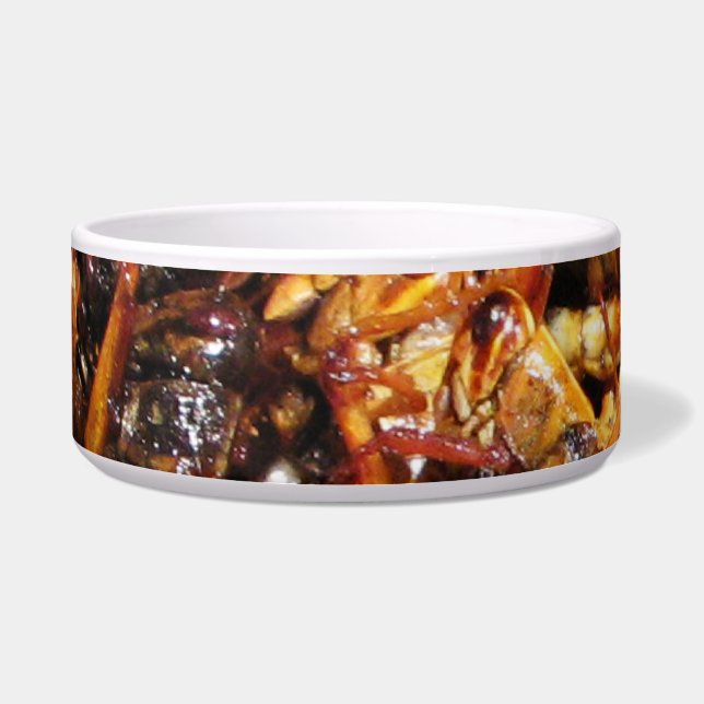 バッタ揚げ(Takkataen Thot)アジア料理 ボウル (正面)