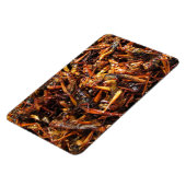 バッタ揚げ(Takkataen Thot)アジア料理 マグネット (左側)