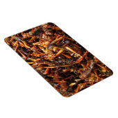 バッタ揚げ(Takkataen Thot)アジア料理 マグネット (右側)