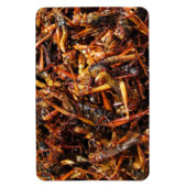 バッタ揚げ(Takkataen Thot)アジア料理 マグネット (縦)