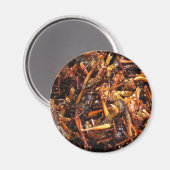 バッタ揚げ(Takkataen Thot)アジア料理 マグネット (正面/裏面)