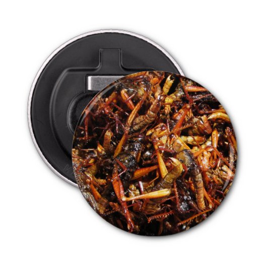 バッタ揚げ(Takkataen Thot)アジア料理 栓抜き (正面)