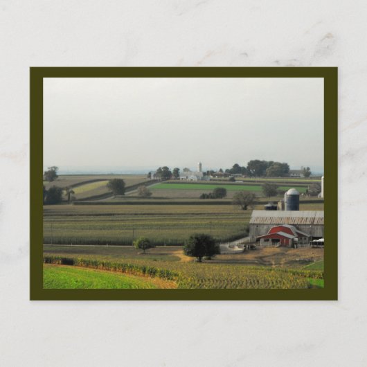 バッタ階から ポストカード (正面)