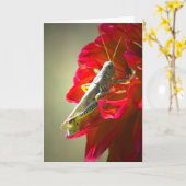 バッタ カード (黄色い花)