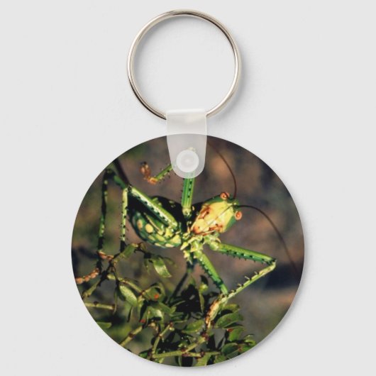 バッタ キーホルダー (正面)