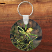 バッタ キーホルダー (正面)