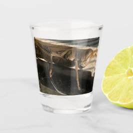 バッタ ショットグラス