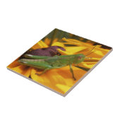 バッタ タイル (側面)