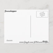 バッタ ポストカード (裏面)