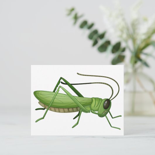 バッタ ポストカード (スタンド正面)