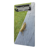 バッタ ミニクリップボード (アングル2)