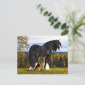 「バッチとブラックバード」のはがき ポストカード (スタンド正面)