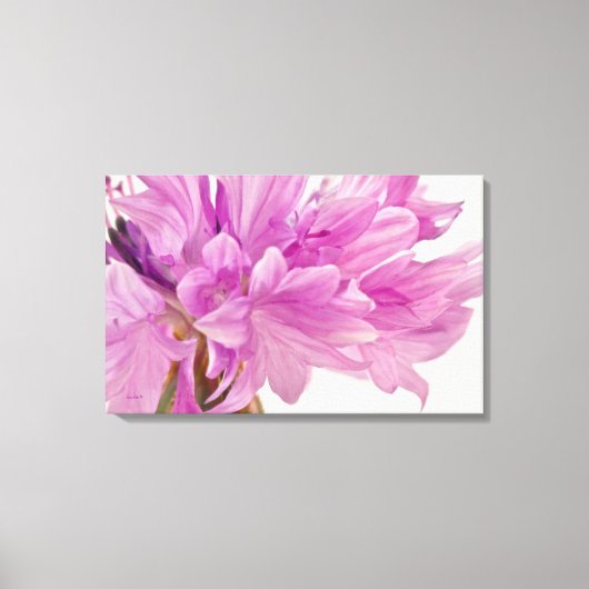 バッチェロボタン キャンバスプリント (正面)