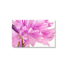 バッチェロボタン