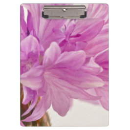 バッチェロボタン クリップボード