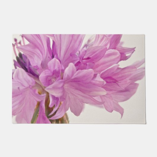 バッチェロボタン ドアマット (正面)