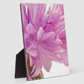 バッチェロボタン フォトプラーク (側面)