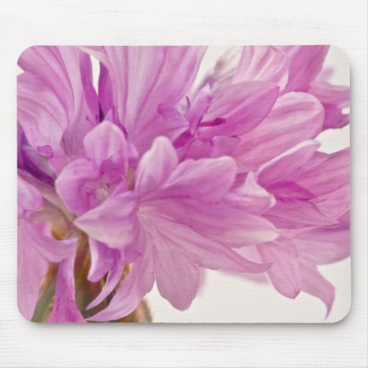 バッチェロボタン マウスパッド (正面)