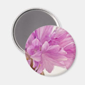 バッチェロボタン マグネット (正面/裏面)