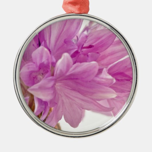 バッチェロボタン メタルオーナメント (正面)