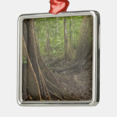 バットレスの根。熱帯雨林、マパリ·ルプニ， 2 メタルオーナメント (左)