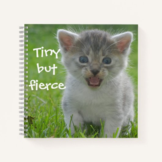 バッドアスキャッツ - "Tiny but Fierce" 子猫 ノートブック (正面)