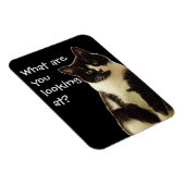 バッドキャッツ「何を見てるんだ!」 マグネット (右側)