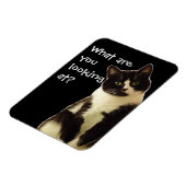 バッドキャッツ「何を見てるんだ!」 マグネット (左側)