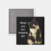 バッドキャッツ「何を見てるんだ！」 マグネット (正面/裏面)