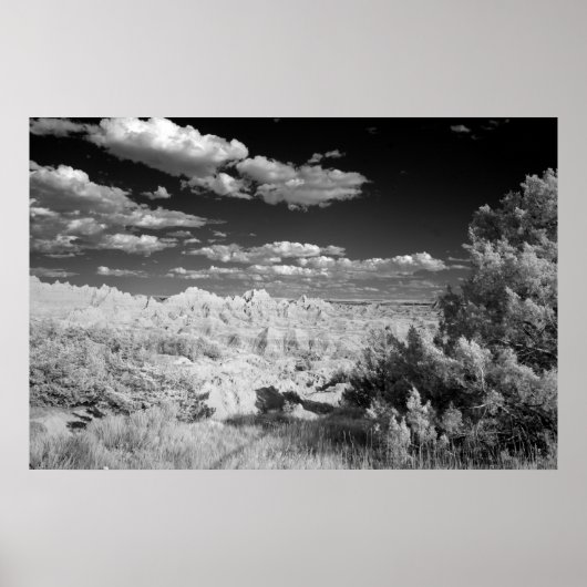 バッドランズ国立公園 ポスター (正面)