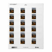 バッドランズ国立公園 ラベル (フルシート)