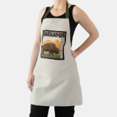 バッドランズ国立公園 | Buffalo エプロン (インサイチュ)