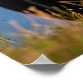 バッファローが草を食べている ポスター (角)