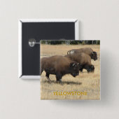 バッファローのイエローストーンボタン 缶バッジ (正面&裏面)