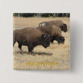 バッファローのイエローストーンボタン 缶バッジ
