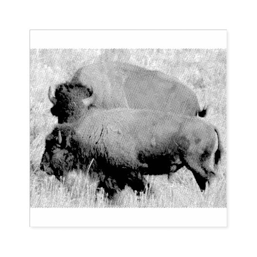 バッファローのウッドアートスタンプ ラバースタンプ (インプリント)