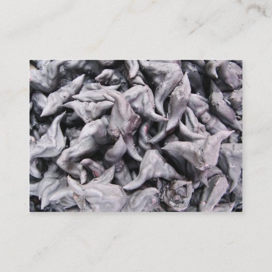 バッファローのナット-水Caltrop 名刺 (裏面)