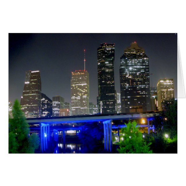 バッファローのバイユーの眺め (正面横)