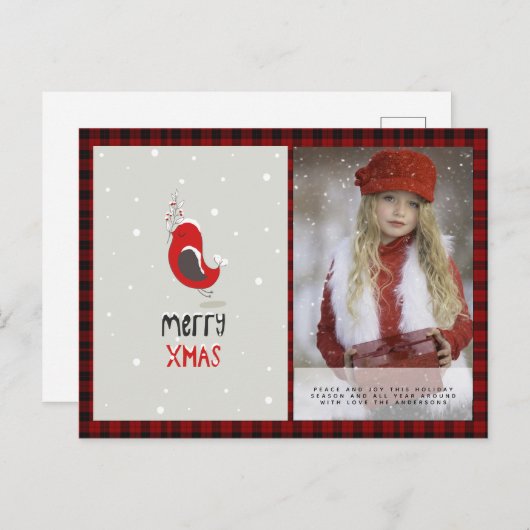 バッファローのプレイド写真クリスマス新年の民俗レッドロビン ポストカード (正面/裏面)