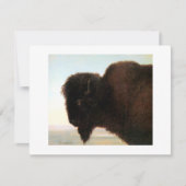 バッファローのヘッド芸術のアルバートBierstadtのバイソンの絵画 案内状 (正面)