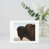 バッファローのヘッド芸術のアルバートBierstadtのバイソンの絵画 案内状 (スタンド正面)