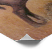 バッファローのポスター ポスター (角)