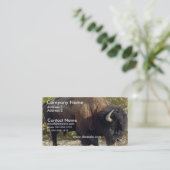 バッファローの名刺 名刺 (スタンド正面)