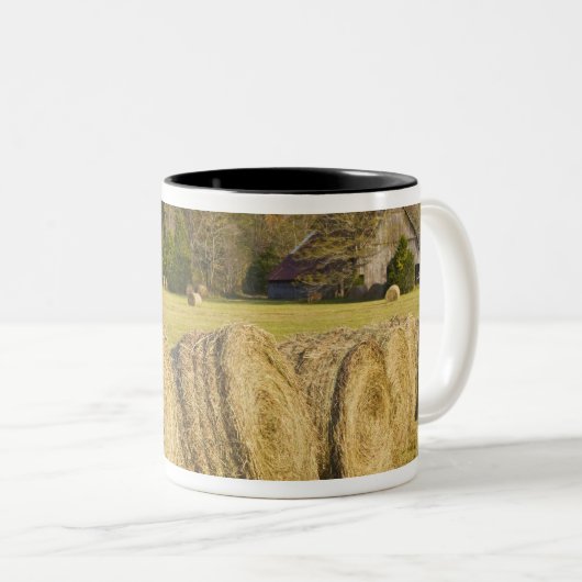 バッファローの国民の川の歴史的な農場、 ツートーンマグカップ (正面右)