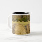 バッファローの国民の川の歴史的な農場、 ツートーンマグカップ (正面左)