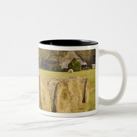 バッファローの国民の川の歴史的な農場、 ツートーンマグカップ (右)